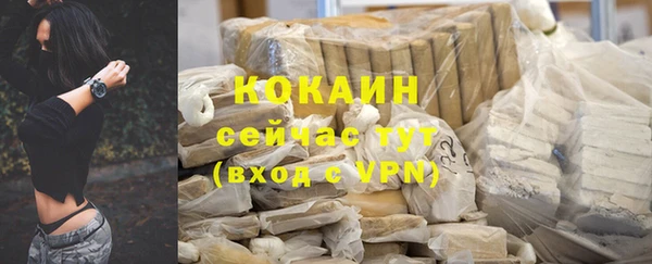 индика Алексин