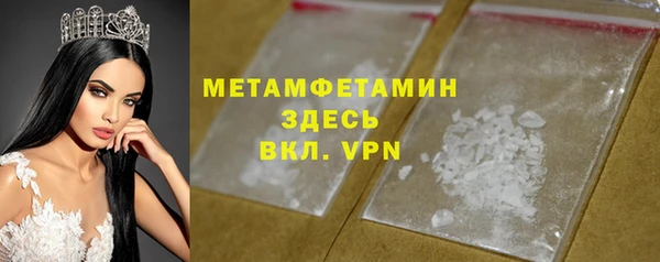индика Алексин
