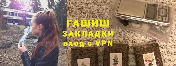 индика Алексин