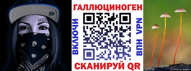 Псилоцибиновые грибы Psilocybe  Керчь 