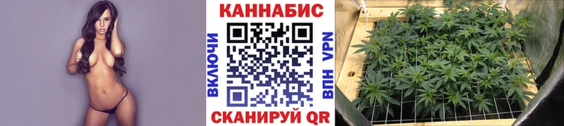 МАРИХУАНА ГИДРОПОН Керчь